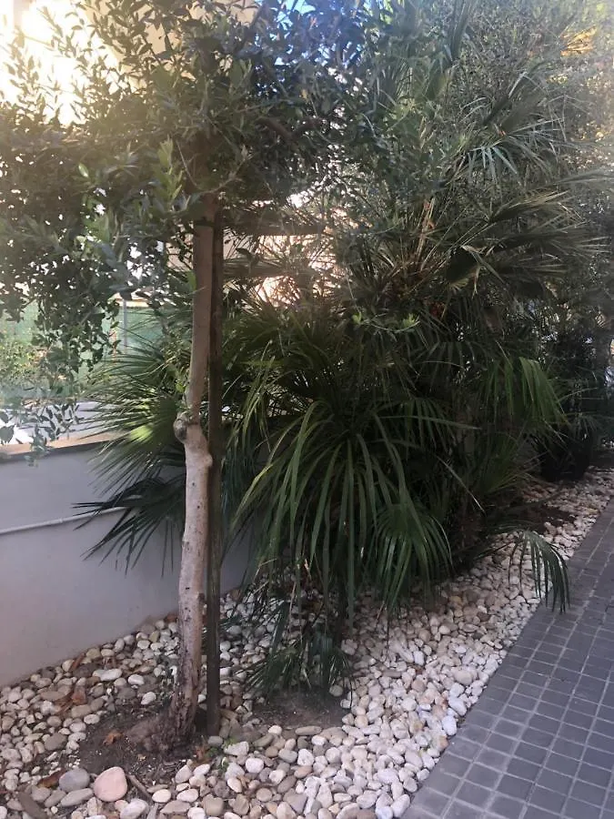 A Casa Minerva Apartment Rimini Italy